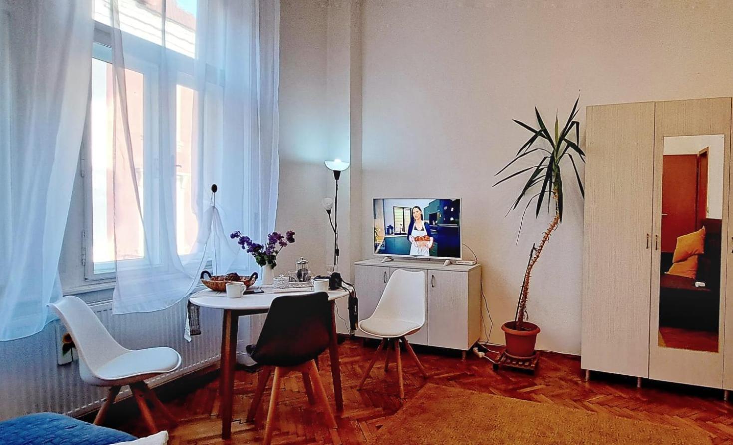 Travel And Music Apartment Timisoara Exterior photo