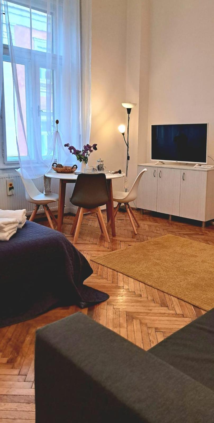 Travel And Music Apartment Timisoara Exterior photo